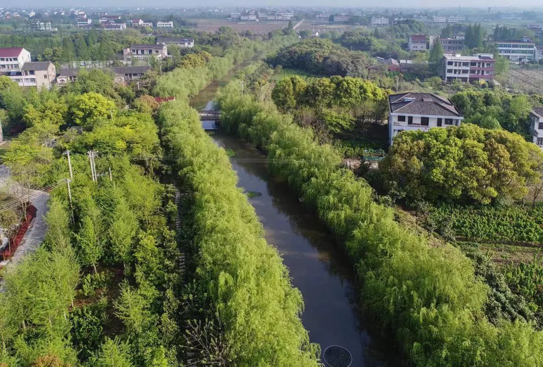 这里是凤鸣街道!_桐乡