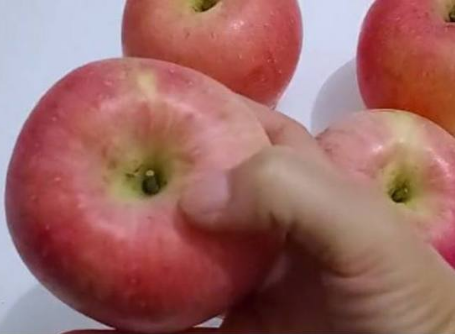 看顶部的肚脐眼,根蒂肚脐眼又大凹陷又深的就是母苹果,而口感也甘甜