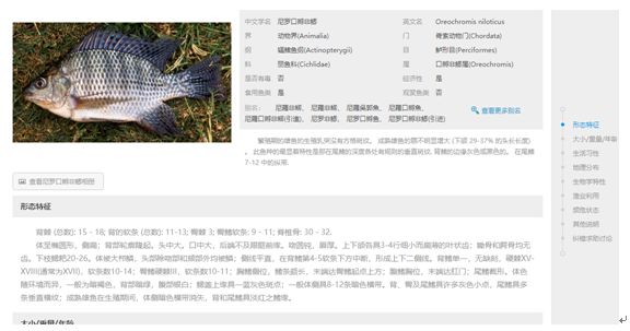 海洋科普（874）| 世界鱼类数据库(FishBase)，你值得拥有！_研究