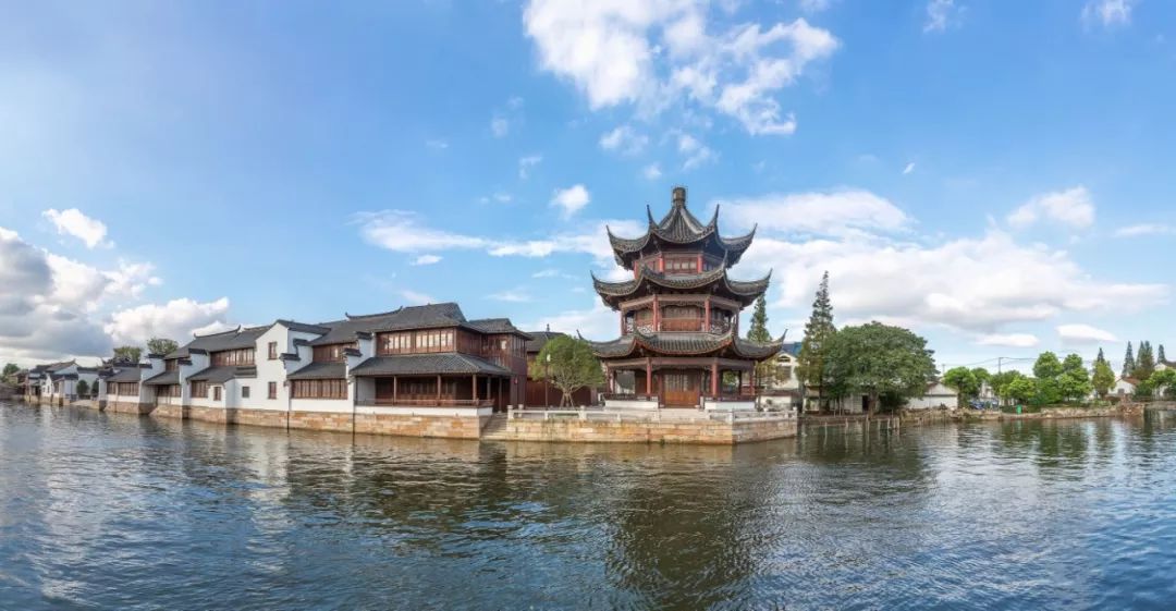 常熟这片粉色海洋美爆了还有