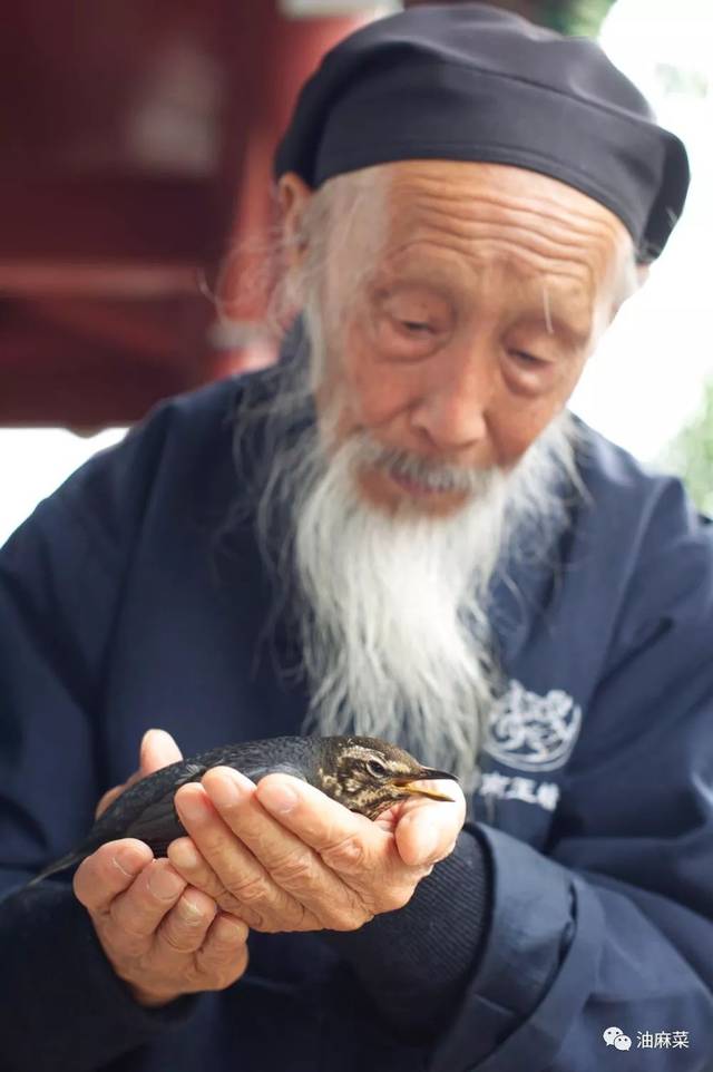 【走进油麻菜地】南山隐修人(五)修行得的病,神仙都治不了_师父