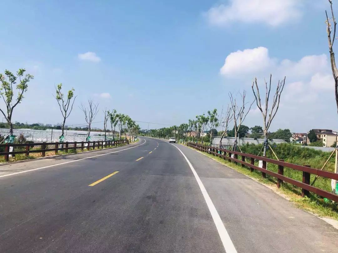 【关注】报告!串联起6县(市,区)美景的沿江公路,预计年底全线贯通