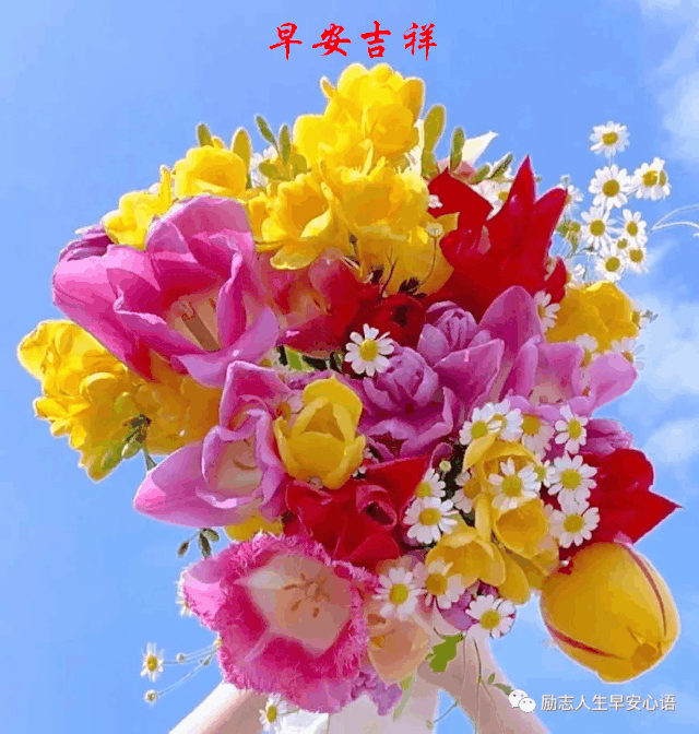 过上真正快乐的生活可以使你淡泊名利一个好的心态可以使你战胜面临的