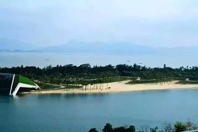 深圳欢乐海岸椰林沙滩图片