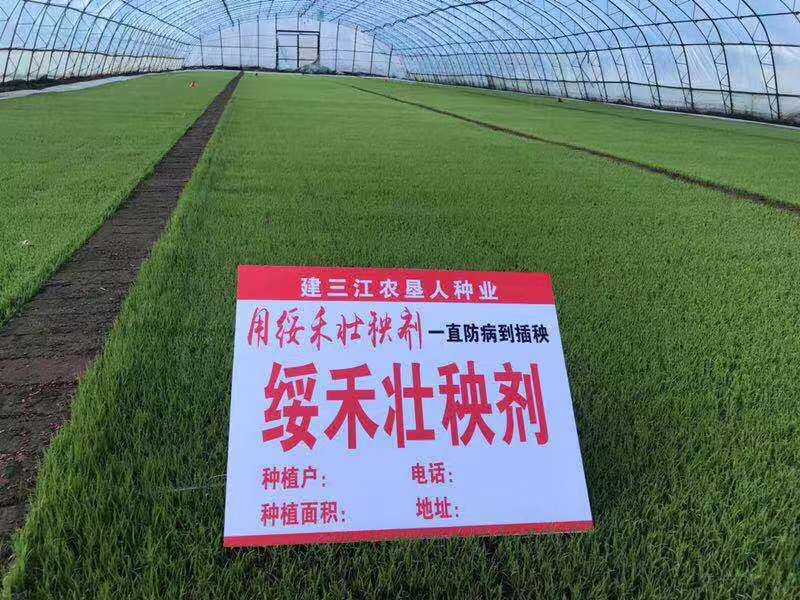 黑龙江省绥禾农业科技有限公司为受灾农户捐赠50万元水稻壮秧剂