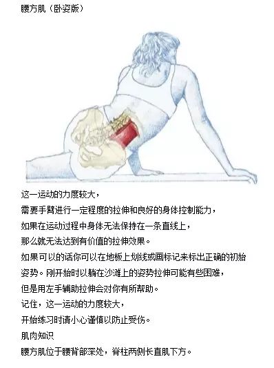 認識腰方肌解剖和牽伸