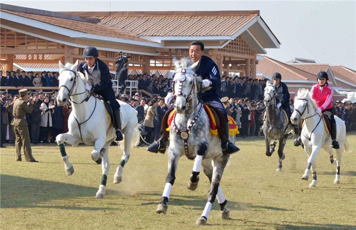 中国场馆大全之北京蓝调月河湾马术俱乐部