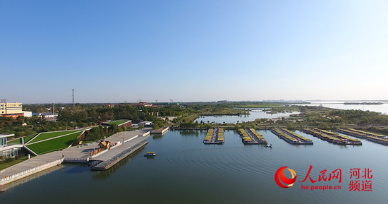 衡水湖千年秀水的绿色崛起