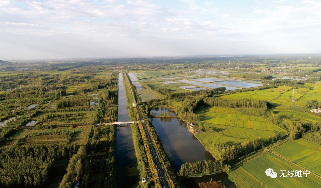 速看睢宁各镇街道晒发展成绩请查阅