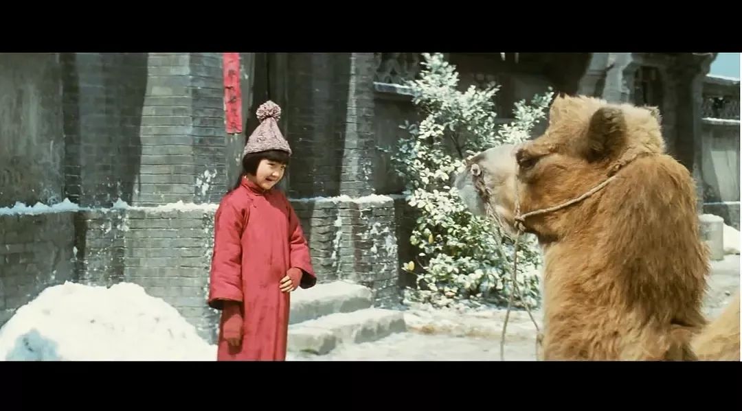 她是"台湾文学的祖母级人物",童年却尽是离别_英子
