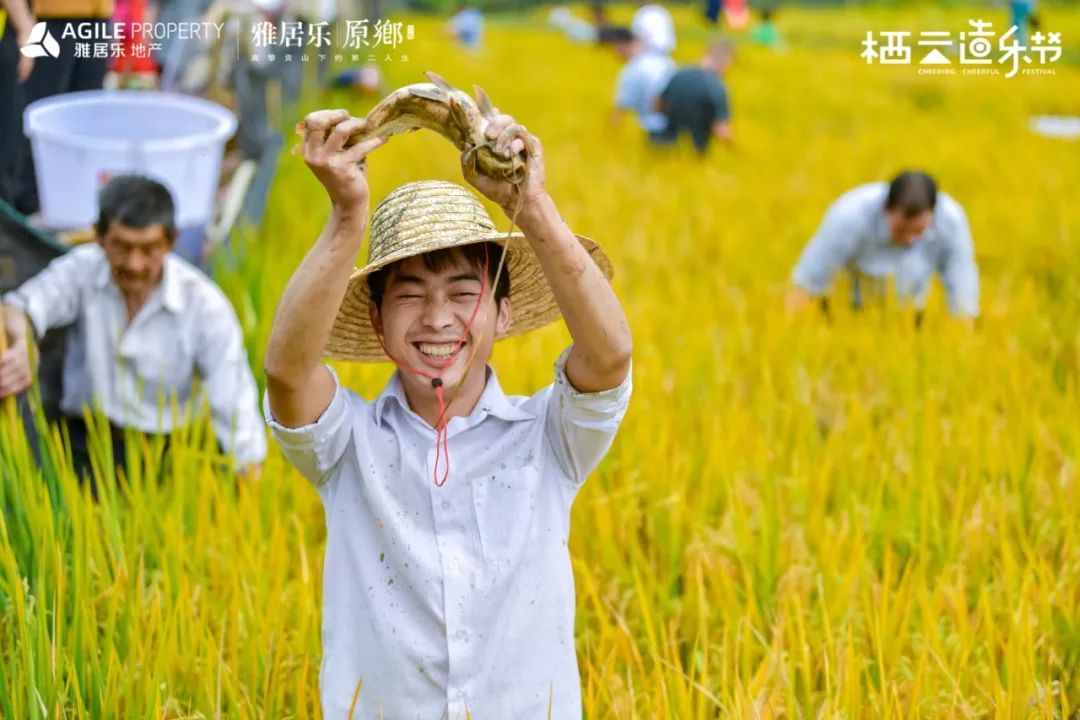 原乡打谷节丨这个秋天在腾冲的金色稻田撒把野