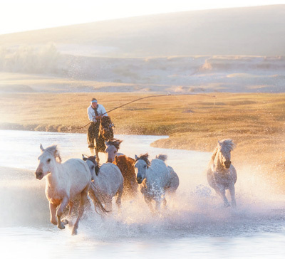 草原策马奔腾.影像中国草原策马奔腾.