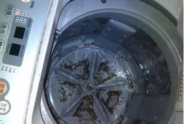 洗衣机漏油污染衣服图片