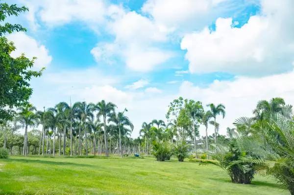 無敵海景拍照聖地深圳這個海濱公園免費開放居然很少人知道