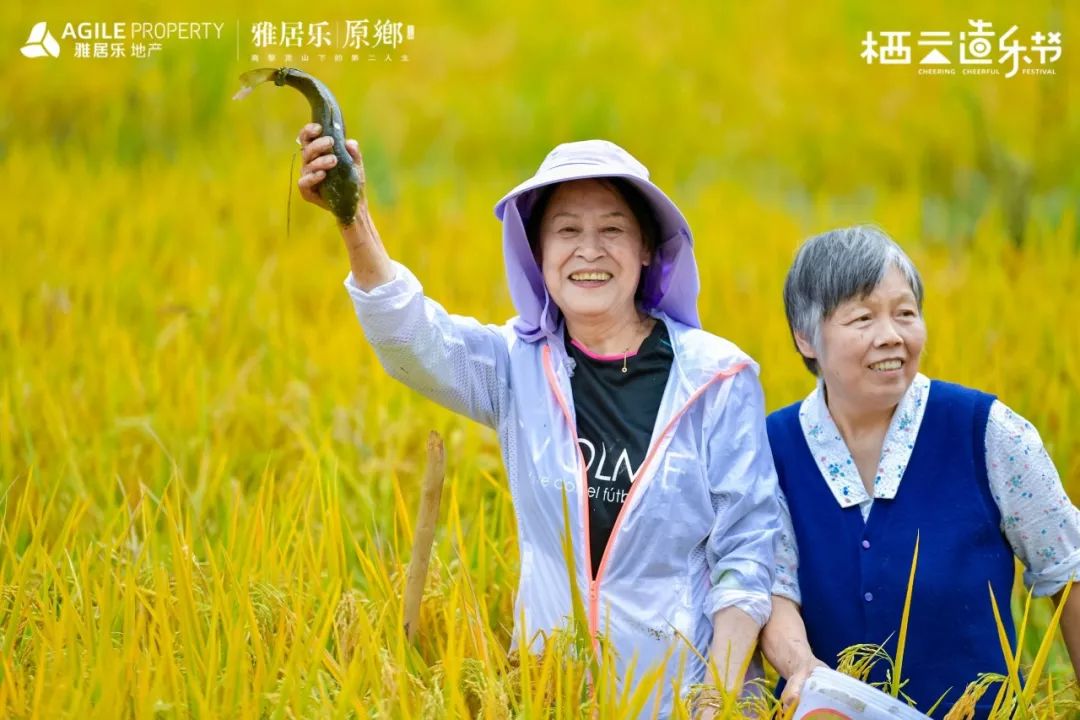 原乡打谷节丨这个秋天在腾冲的金色稻田撒把野