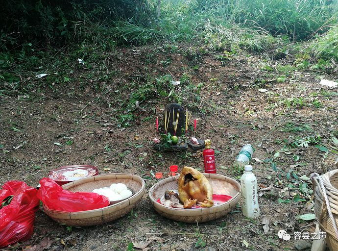 原创今天,容县多地发生森林火灾,重阳扫墓必须做到人离火灭