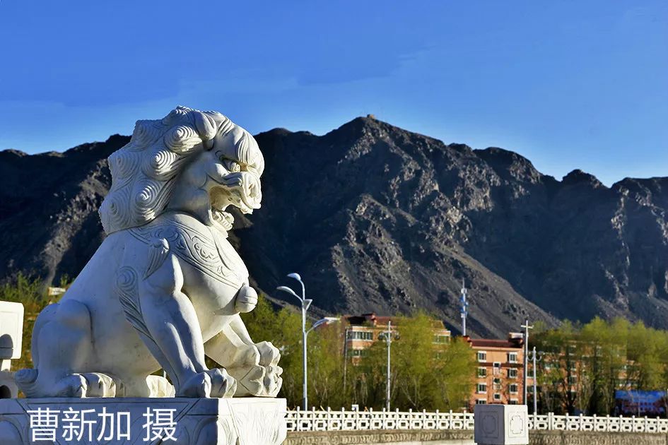 集结号已吹响,全国各地的无人机正在赶往伊吾