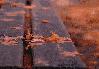 343_240gif 动态图 动图