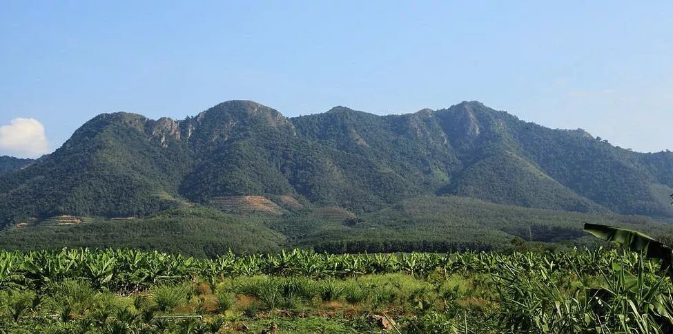 你好我叫乐东这是我的名片请向世界传递下去