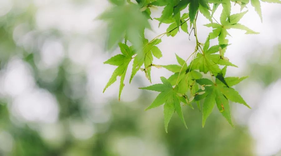 过客生活志的简单介绍