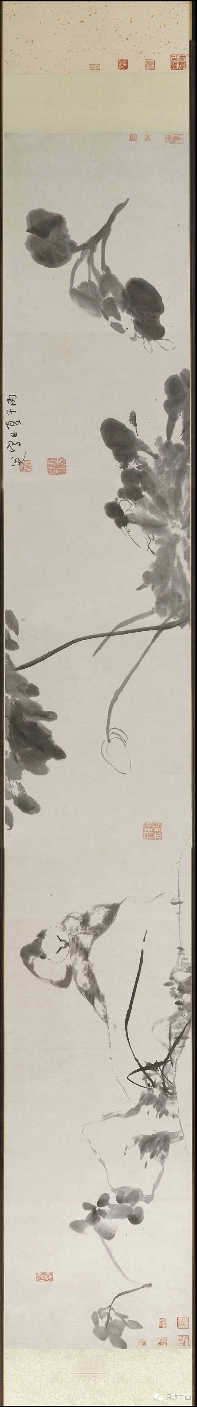 八大山人最精美之花鸟长卷合集