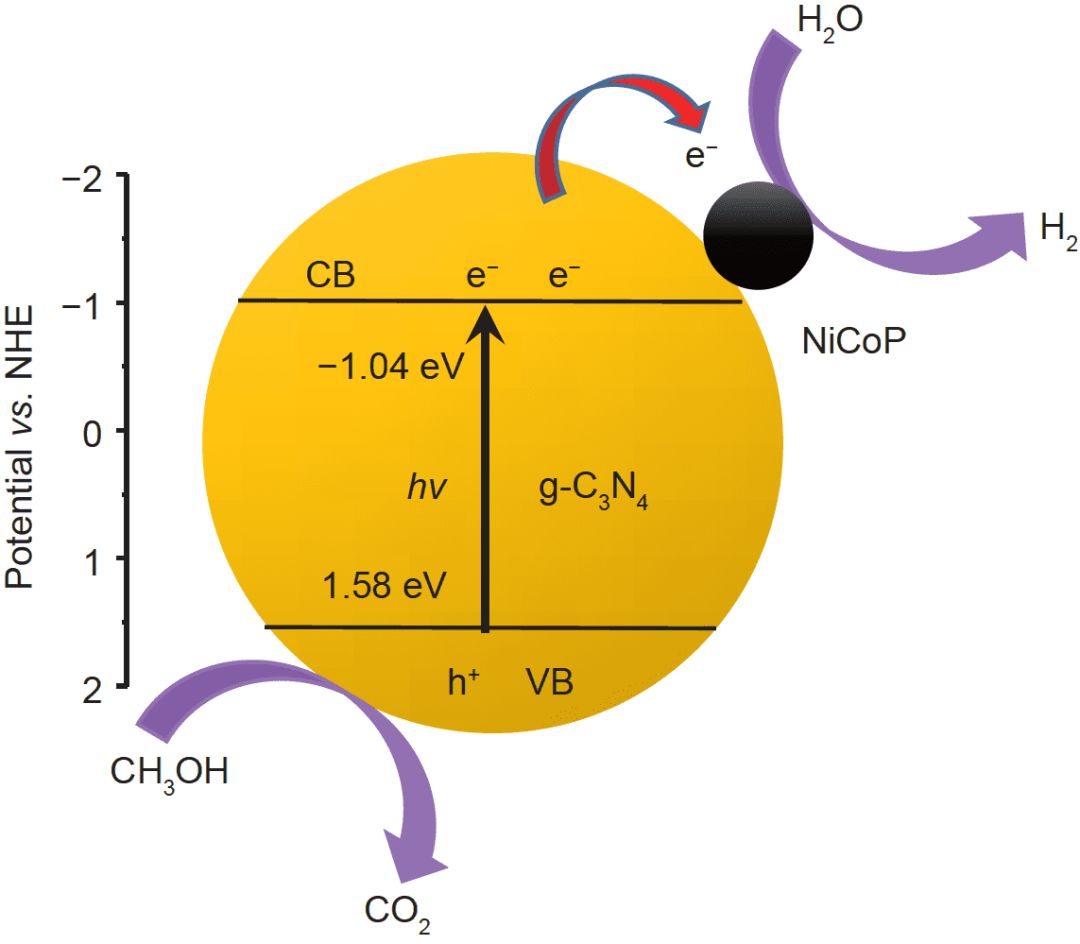 nicop/g-c3n4光催化产氢的机理.