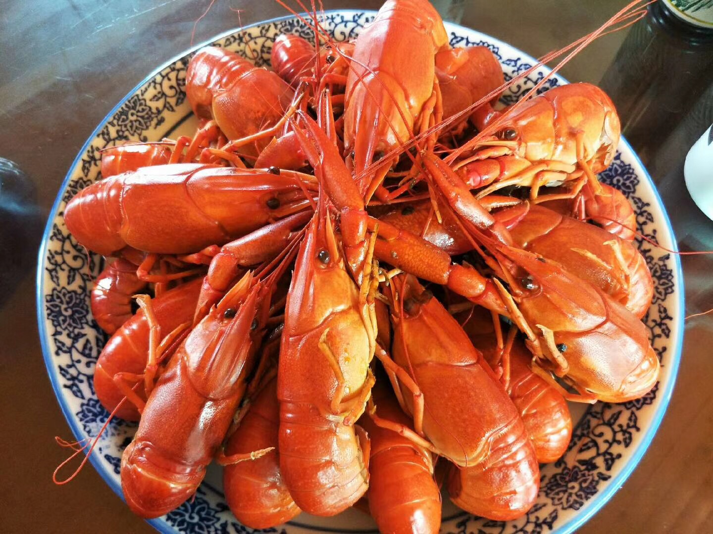 有口福了!十一过后武汉人可以吃到便宜的澳洲淡水龙虾了