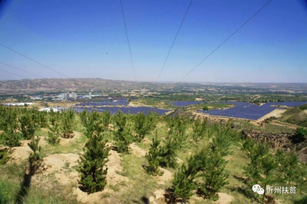 並進行了土地綠化田巨峁溝域有田巨峁1個整村搬遷村和陽面,赤泥也