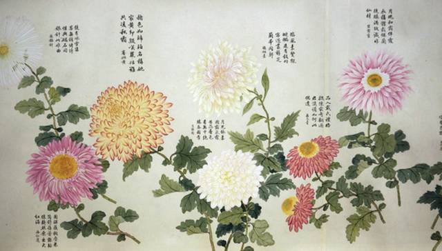 陶渊明的菊柳桃花之意象