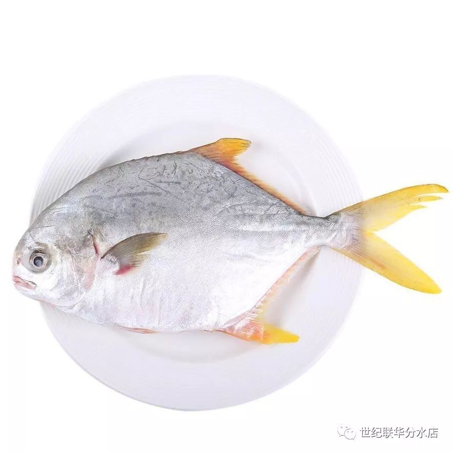 【世纪联华分水店】生鲜365~~~超级星期二!_金昌鱼