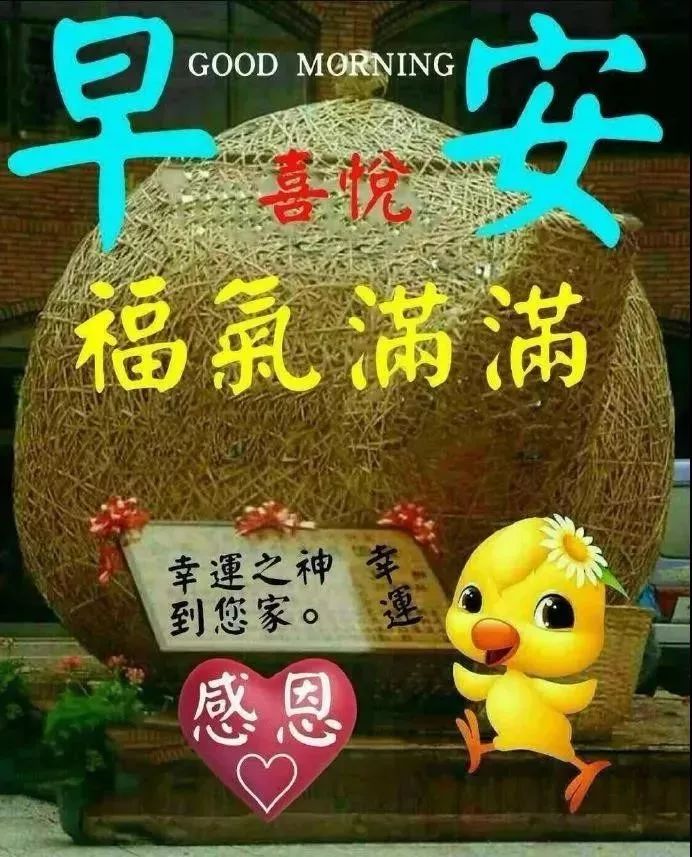 清早问候大家早上好漂亮动态表情图片 朋友圈问候大家早上好暖心祝福