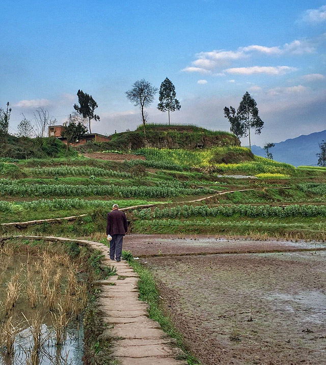 风景奇观图片:那画面太美我不敢看,最美农村林间小道.