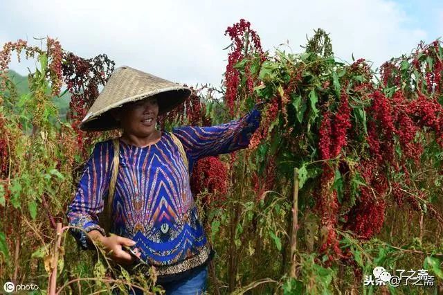 王方晨一幅现代燃藜图
