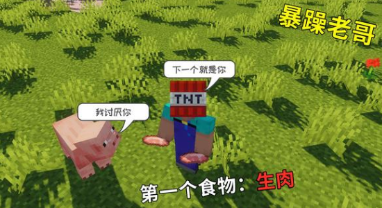我的世界你玩mc时吃的第一个食物是什么吗