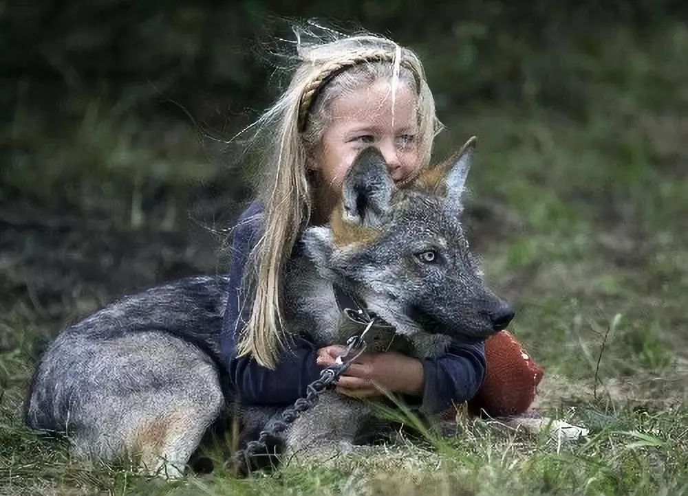 人类单方面驯化了狗或许故事还有另外一个版本