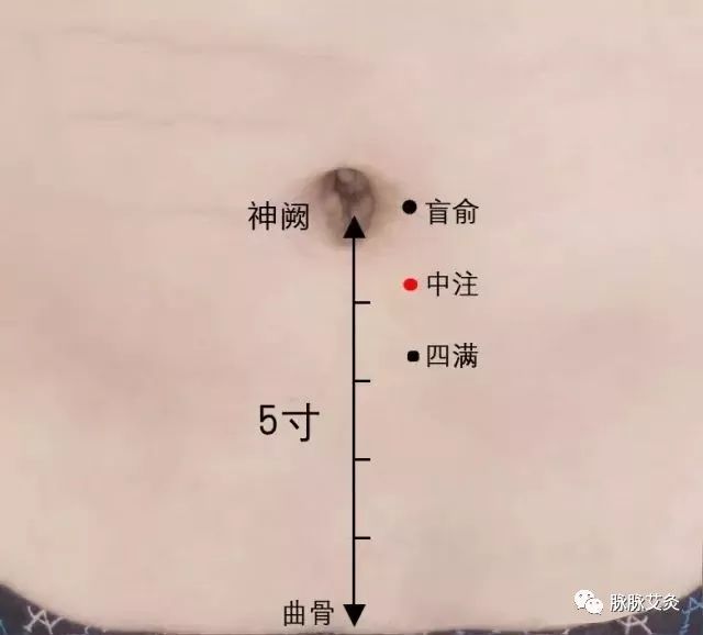 阴囊湿疹主灸这里附药物治疗方法