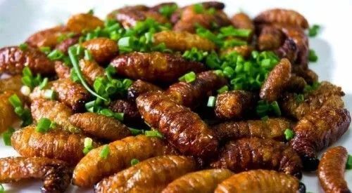 被网友称作"昆虫菜"与油炸蚂蚱,油炸竹虫除了烧烤,这种虫子还能油炸