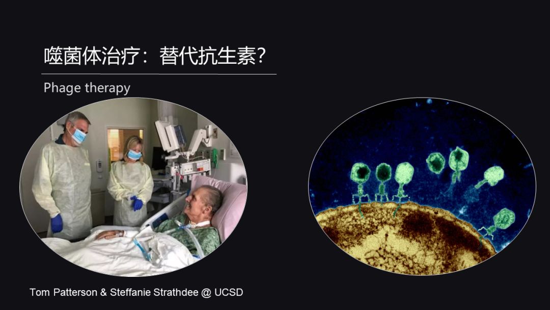 原创赵方庆5400字揭秘菌群江湖的十八般武艺