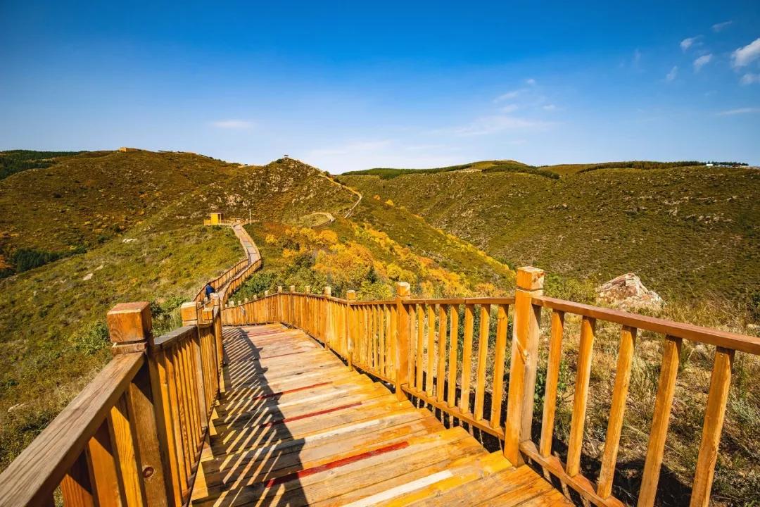 重阳敬老丨大青山国际旅游度假区请老人免费游景区