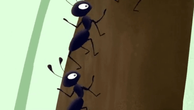蚂蚁走路gif图片