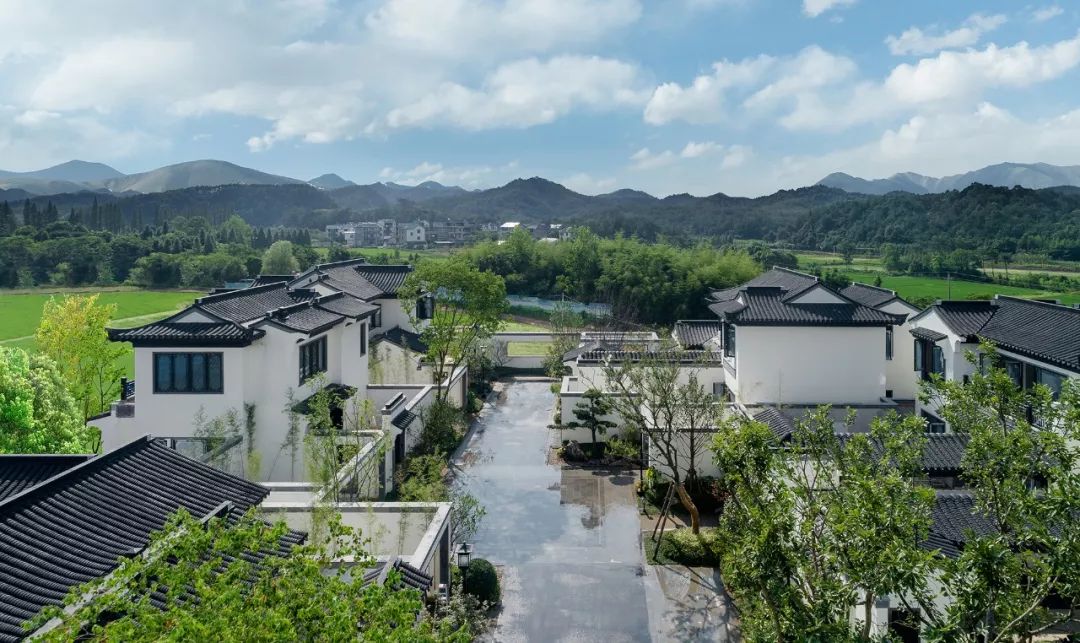 蓝城小镇首驻衢州,春风江山揭开面纱