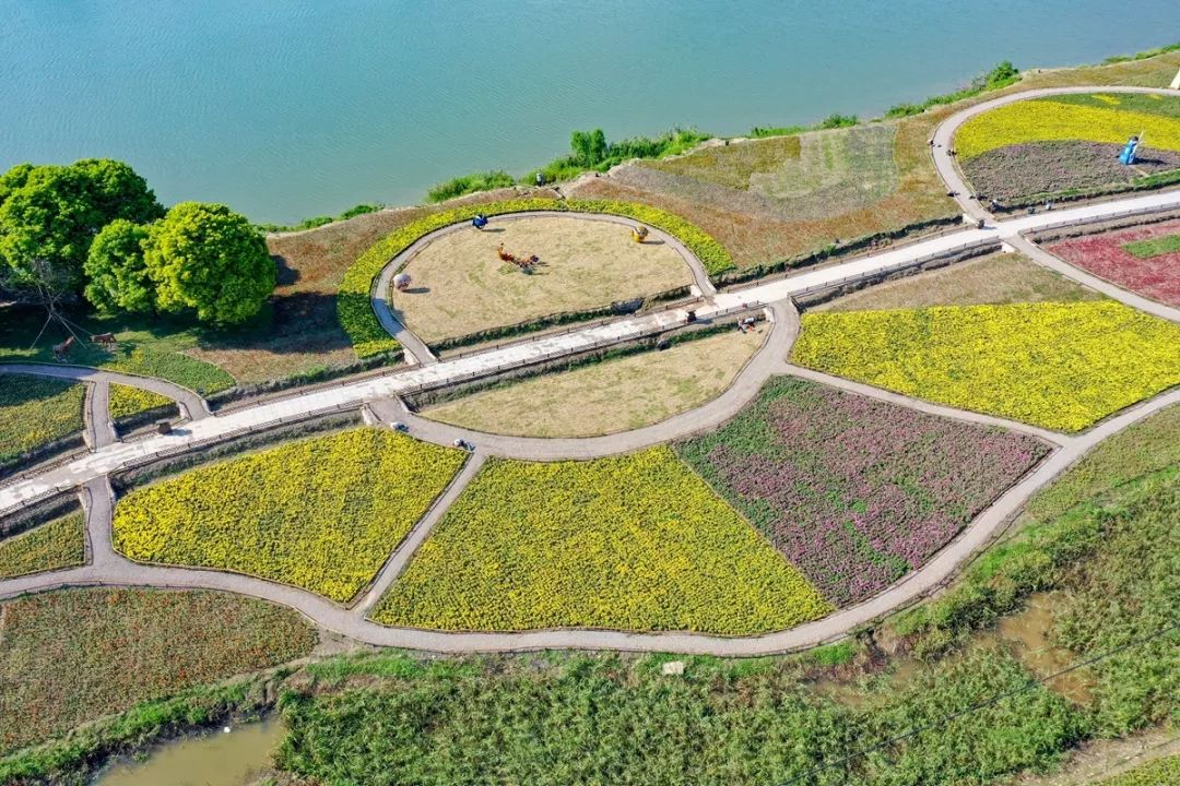 江上花海景區聯合中國美院 設計了通往花海中一條條的園路 這是用竹子