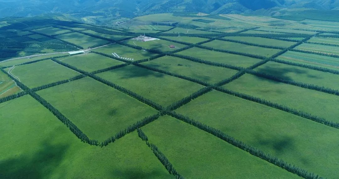 原来这就是中国北方最大的现代设施农业园太牛了