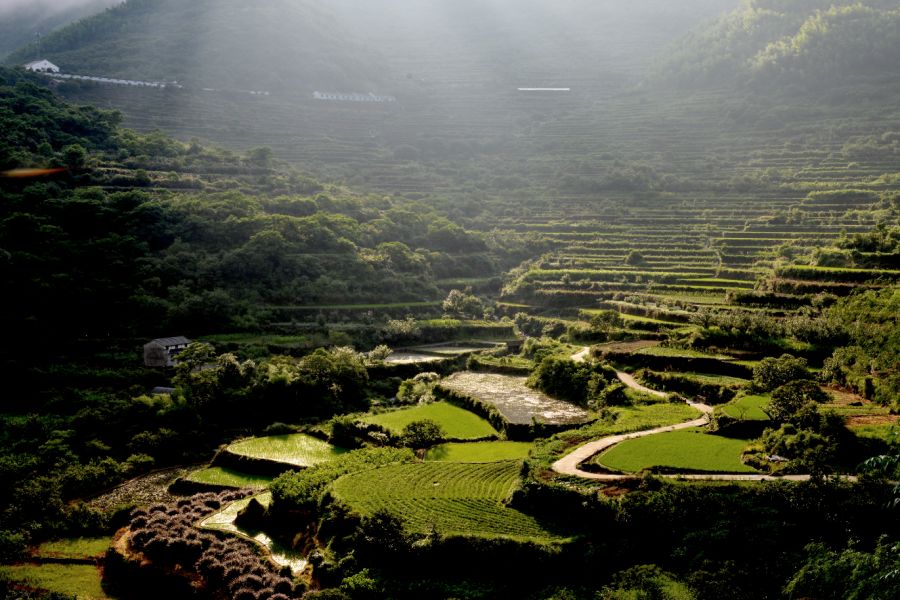 岭南乡主题教育初心之旅上线啦