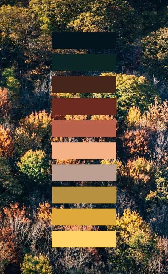 配色丨秋日最爱的大自然配色