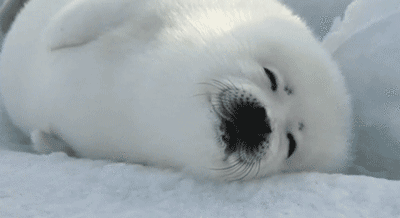 400_218gif 动态图 动图
