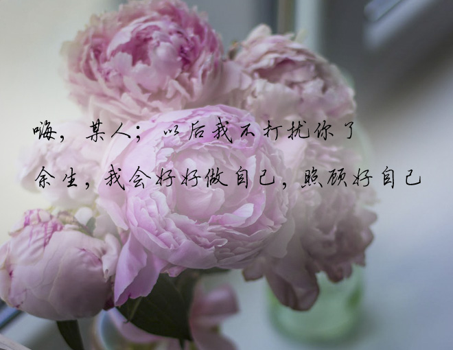 嗨,某人;以后我不打扰你了
