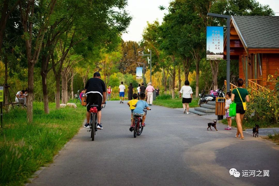东郊森林公园使北运河与潮白河生态景观带,六环路与京平高速路生态
