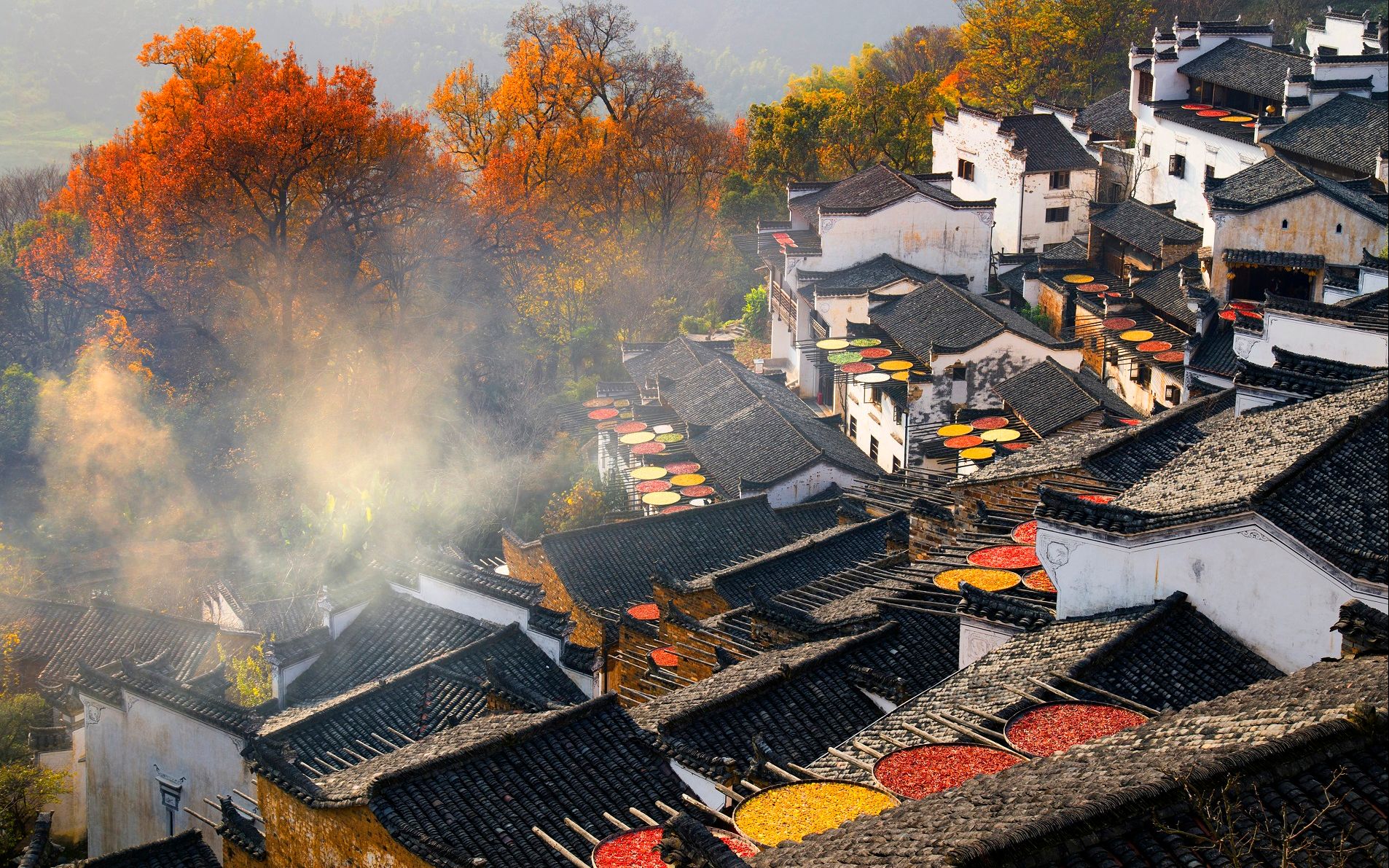 为重阳节"添彩" 婺源篁岭古村多彩晒秋
