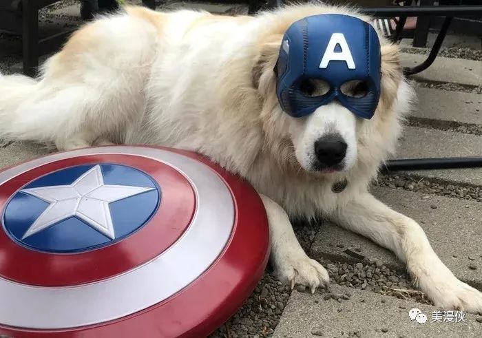 小丑新梗翻车蜘蛛侠世界搞错绿灯侠含泪点赞dc和漫威最爱做的事